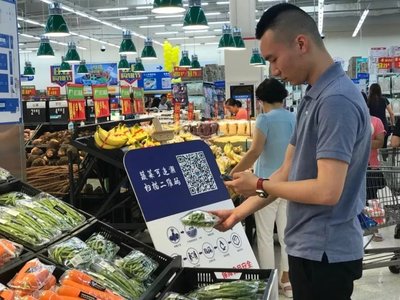 農藥零售與舌尖上的安全 誰來守護我們的餐桌？